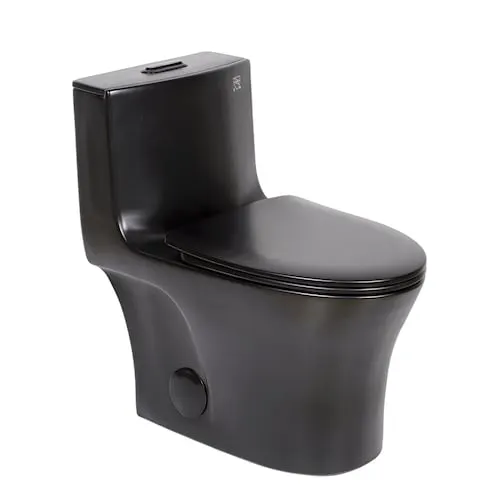 Denise 1-piece 4/6L GPF Dual Flush Right Height Elongated Toilet in Black