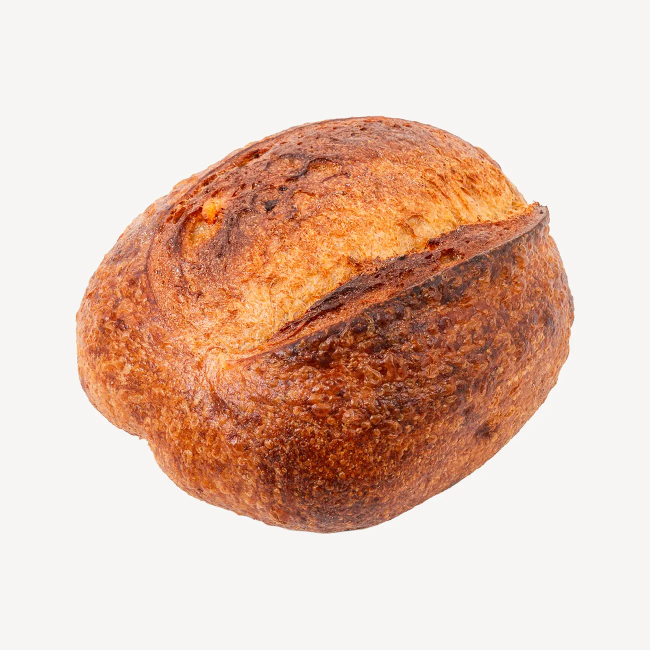 daily bread pioneer sourdough