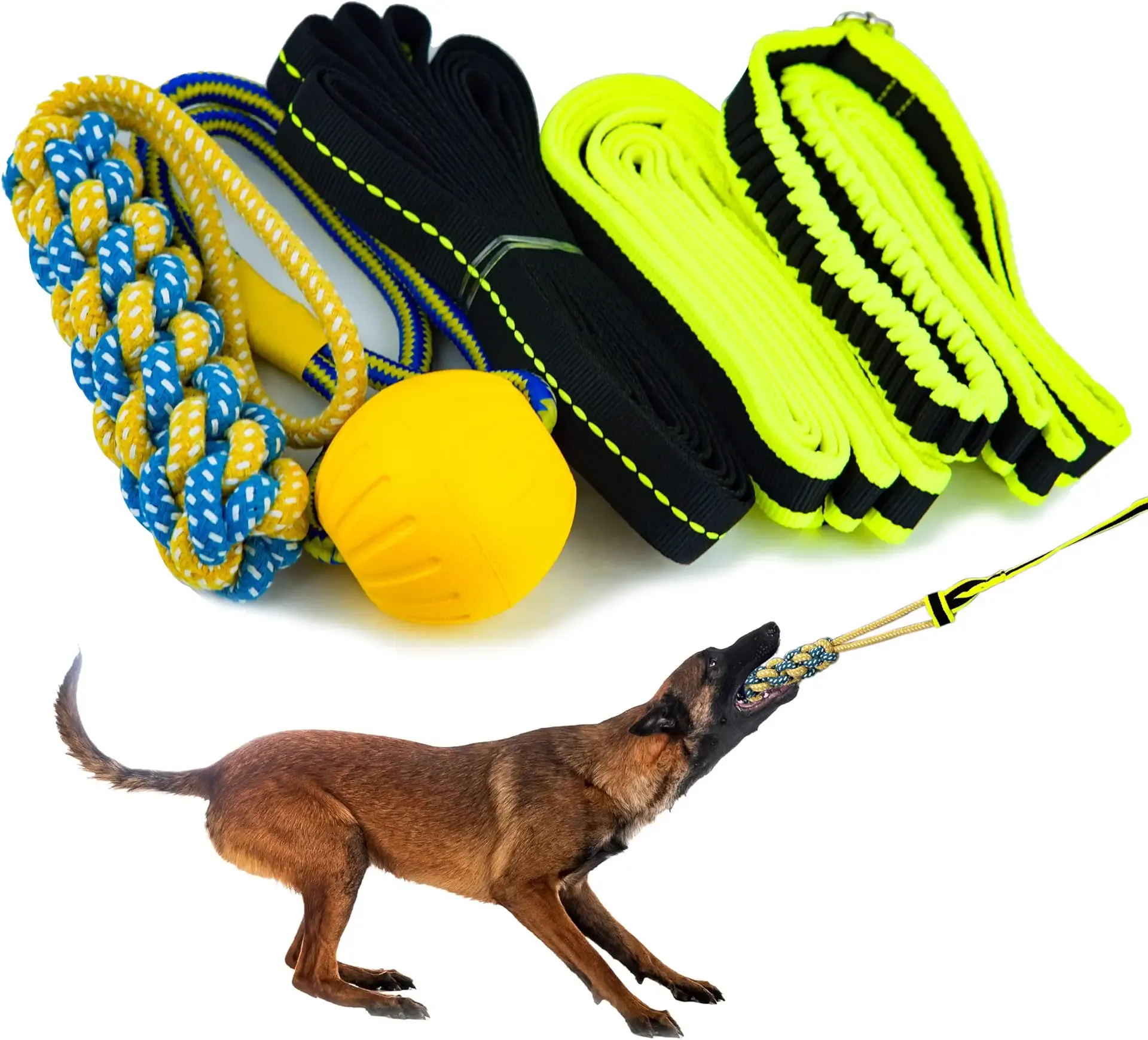 Bungee Tug Toy for Dogs - Outdoor Tree Rope Tether Tug 5 Pack - Spring Pole Dog Toy for Small to Large Breeds - Backyard Flirt Pole Exercise Toy
