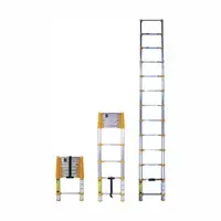 Escalera Telescópica de Aluminio para Tareas Domésticas de Gran Alcance