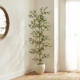 Faux 6.5' Black Olive Tree