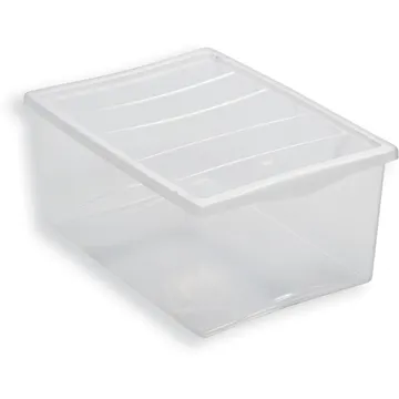 Contenitore in plastica trasparente Box Spring L