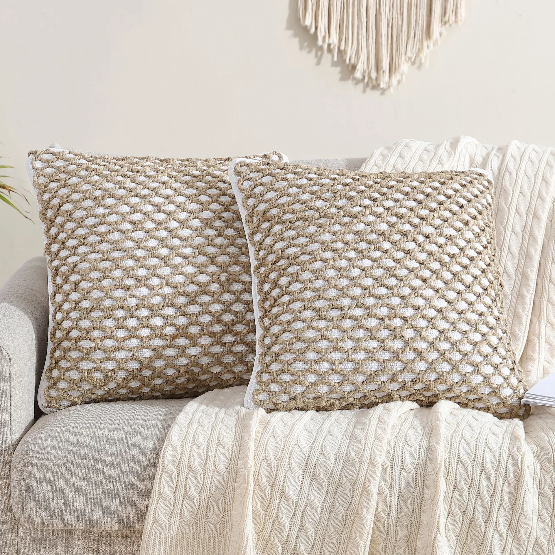 Jada 2-Piece White 20-in x 20-in Decorative Pillow Cover Set