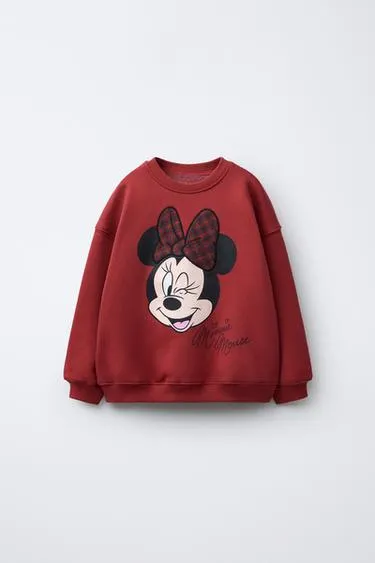 MINNIE MOUSE AND FRIENDS © DISNEY EMBROIDERED SWEATSHIRT