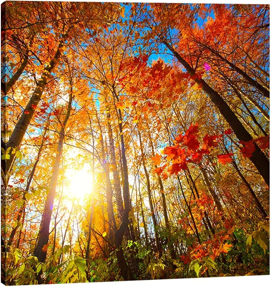 Pyradecor Large Canvas Prints Wall Art Last Hint of Sunset Pictures Paintings for Living Room Bedroom Home Decorations Modern Stretched Nature Landscape Artwork