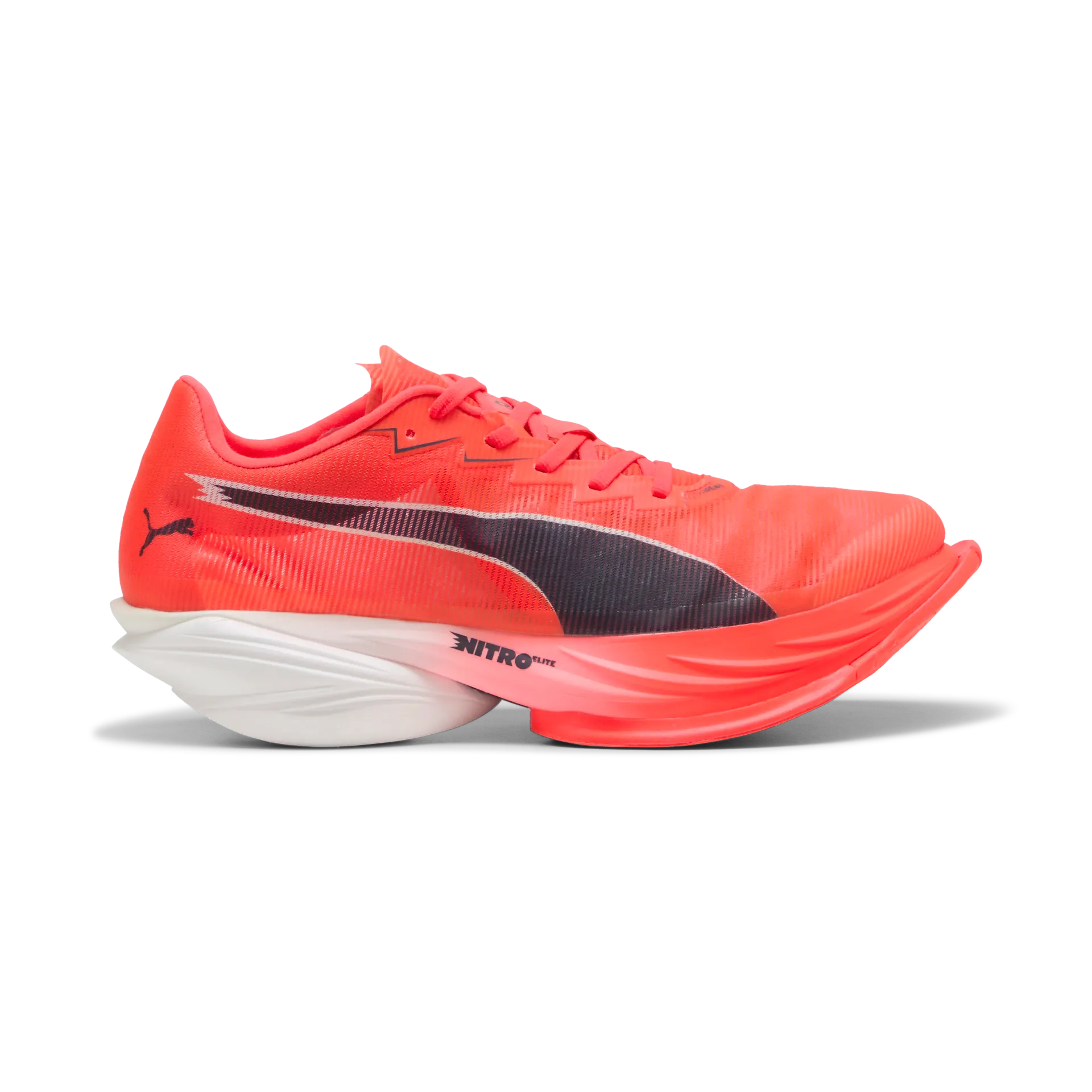 Fast-R Nitro Elite 3