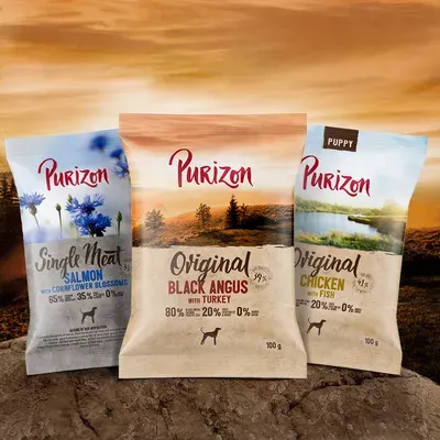 Lot mixte : croquettes, boîtes et friandises Purizon pour chien Croquettes Single Meat Adult saumon, fleurs de bleuet (100 g)