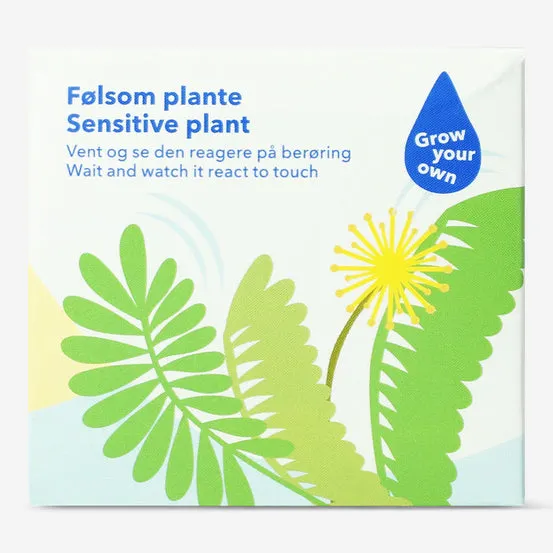 Dyrkesett - Mimosa-plante