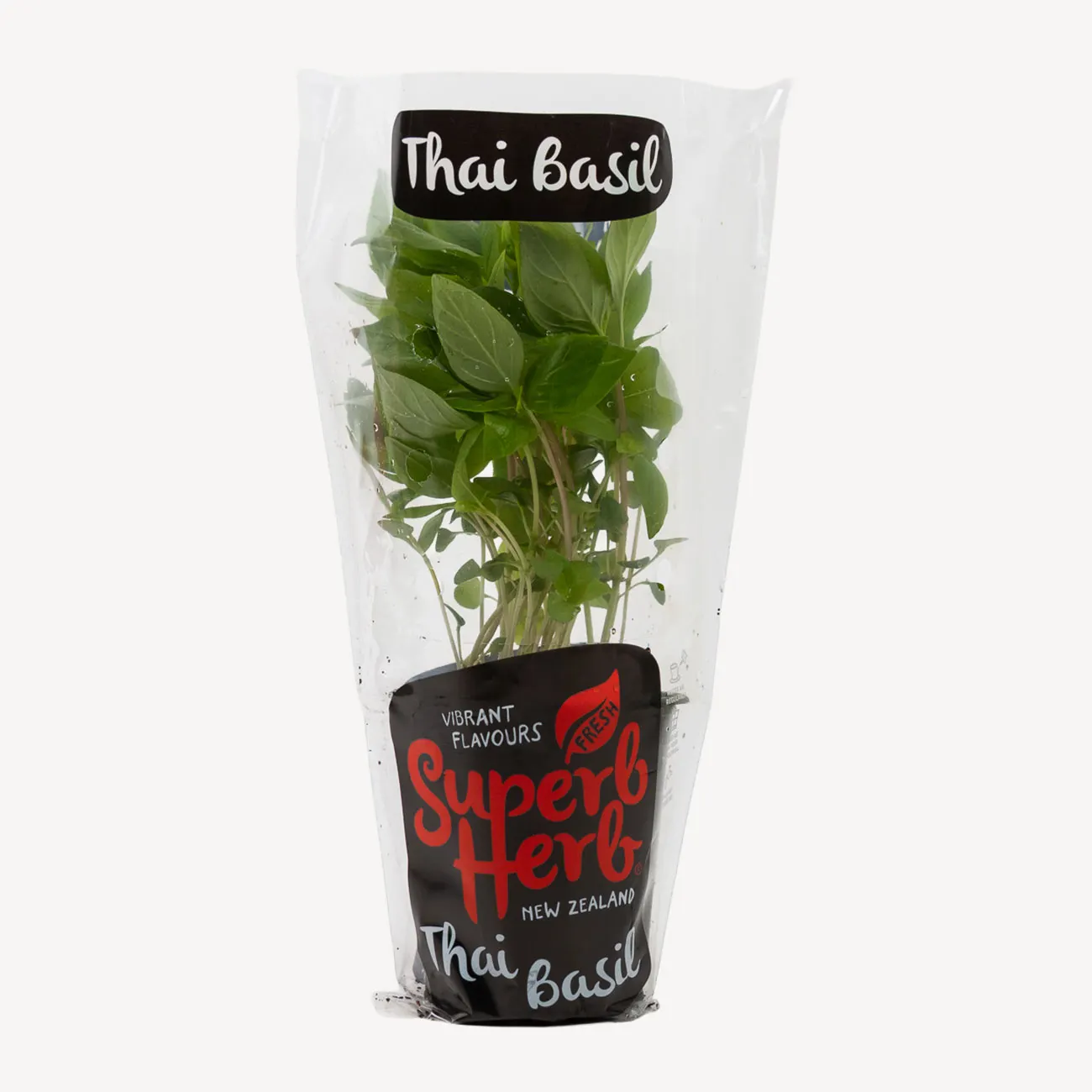 superb herb basil thai
