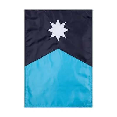 2 W x 4 H State Minnesota State House flag