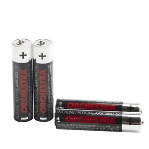 Lot de 4 piles alcalines AAA LR3