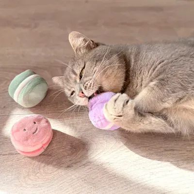 Aumüller Jouet Macarons pour chat