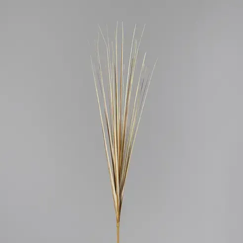 Isolepsisgras - beige - Kunststoff - 70 cm