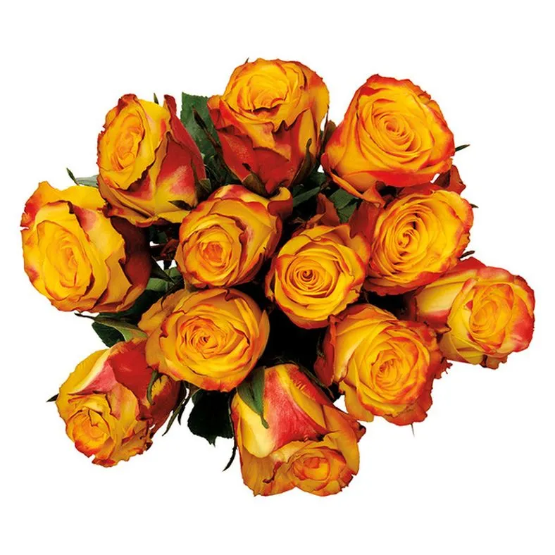 12 Stem Roses