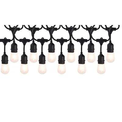 24-ft Plug-in Black Outdoor String Light with 12 White -Light LED Edison Bulbs