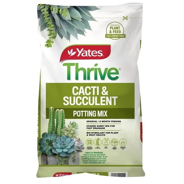 Yates Cacti and Succulent Mix