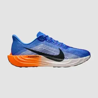Nike Mens Pegasus Plus Running Shoes