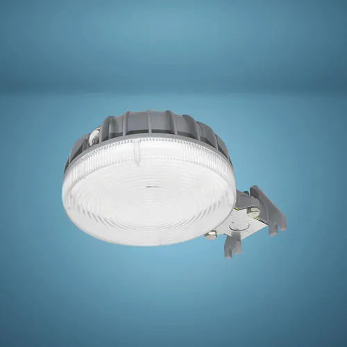 Patriot Lighting® LED Dusk-to-Dawn Outdoor Security Area Light