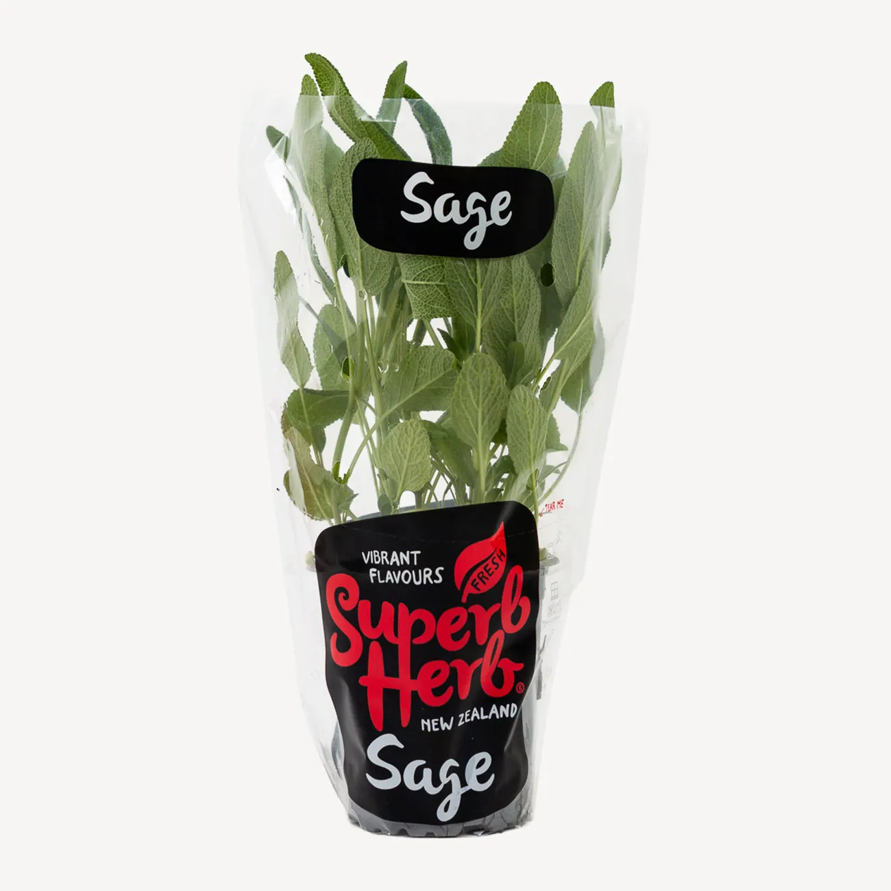 superb herb sage small