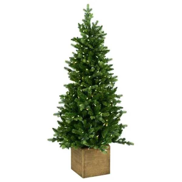 National Tree Company 31NFOL137L Norfolk Entrance Tree pot LED - 137 cm