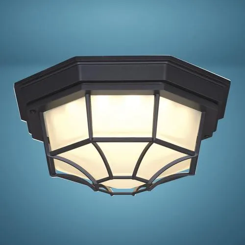 Patriot Lighting® Caine Textured Black LED Outdoor Flush Mount Ceiling Light