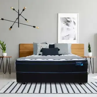 Dunlop Living iSupport Plush Mattress