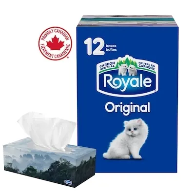 Original 2 Ply Facial Tissue, 12 Tissue Boxes, 100 Tissues per box