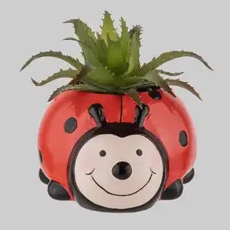 Wattle & Willow Plants Gone Wild Ladybug - Succulent Planter Décor