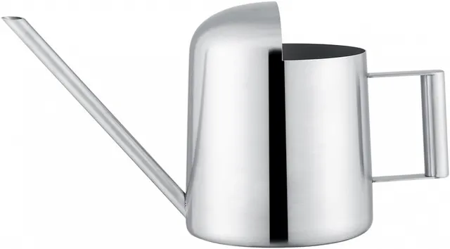 Annaffiatoio in acciaio inox, annaffiatoio per bonsai, per piante da giardino, fiori, vaso lungo per piante da interno (300 ml)
