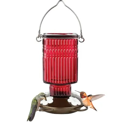 Plastic Hanging Hopper Bird feeder - 1.7-lb