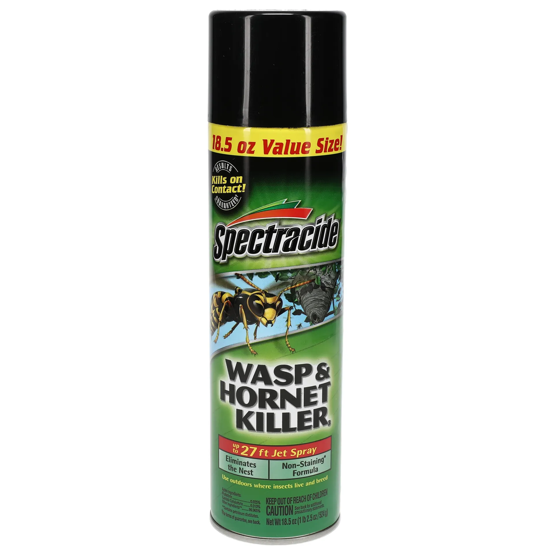Wasp and Hornet Insect killer 18.5 -oz