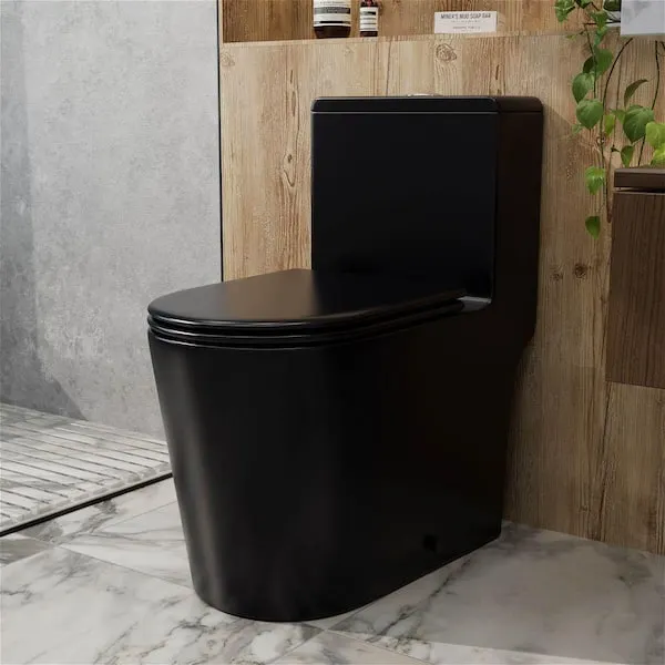 1-​piece 1.​0/​1.​28 GPF High Efficiency Dual Flush Elongated Toilet in Matte Black Soft-​Close Seat Included