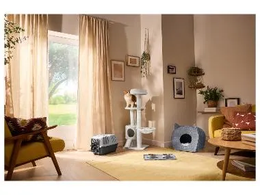 ZOOFARI®