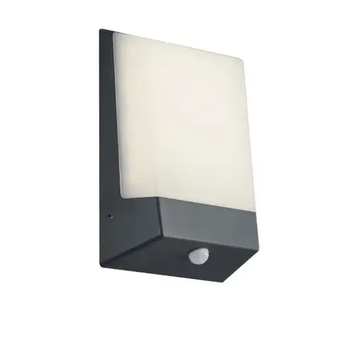 LED-Außen-Wandleuchte - anthrazit - 1-flammig