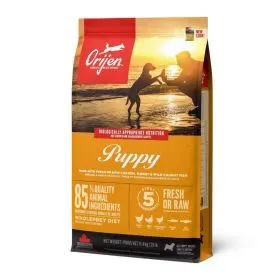 Orijen Puppy
