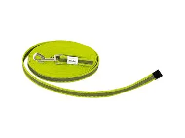 Correa de adiestramiento