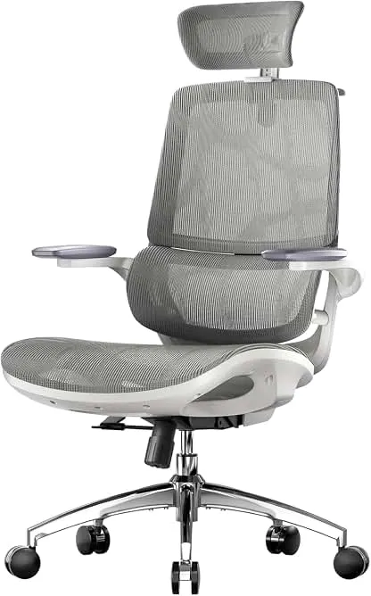 SIHOO M59AS Ergonomic Office Chair, Dual Backrest, A…