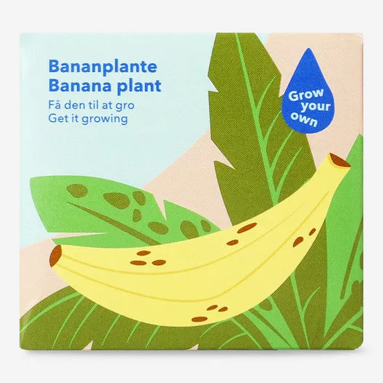Dyrkesett - Bananplante