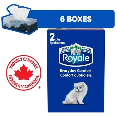 Everyday Comfort 2 Ply Facial Tissue, 6 Tissue Boxes, 100 Tissues per box
