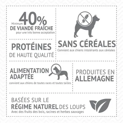 Testez-les ! Wolf of Wilderness pour chien Elements Fiery Volcanoes, agneau (300 g)