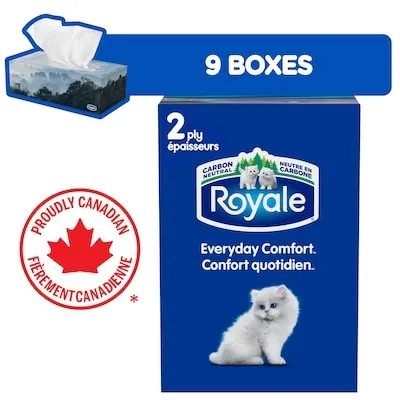 Everyday Comfort Facial Tissue, 9 Flat Boxes, 100 Tissues per box