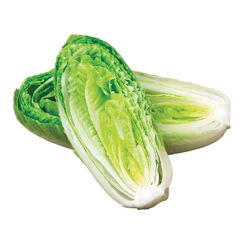 Romaine Hearts, Bag