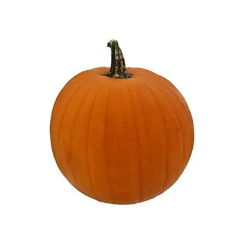 Fresh Medium Jack-o'-Lantern Pumpkin, Each