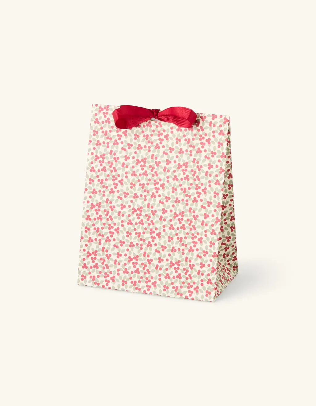 Geschenktüte mit Geschenkband