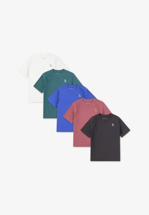 TEE 5 PACK - T-shirts - dunkelgrau/blau/mehrfarbig