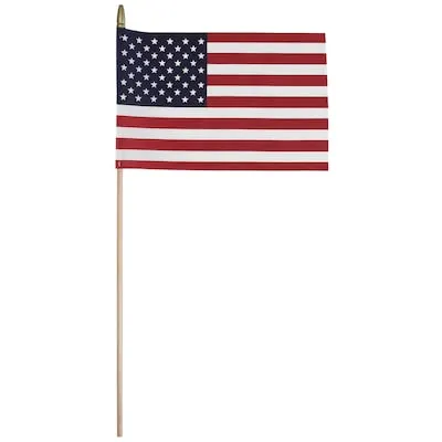 Valley Forge Flag 1.0-ft W x 2.0-ft H American Flag