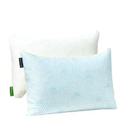 Fraser Country Set of 2 Shredded Memory Foam Pillow