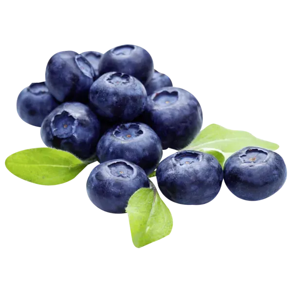 Peru/Argentinien Heidelbeeren Sorte: Ventura, Rocio Klasse I Pur, in Joghurt, Obstsalaten oder Pfannkuchen ein Genuss, am besten im Kühlschrank lagern 300g Schale (1 kg = 9.97)
