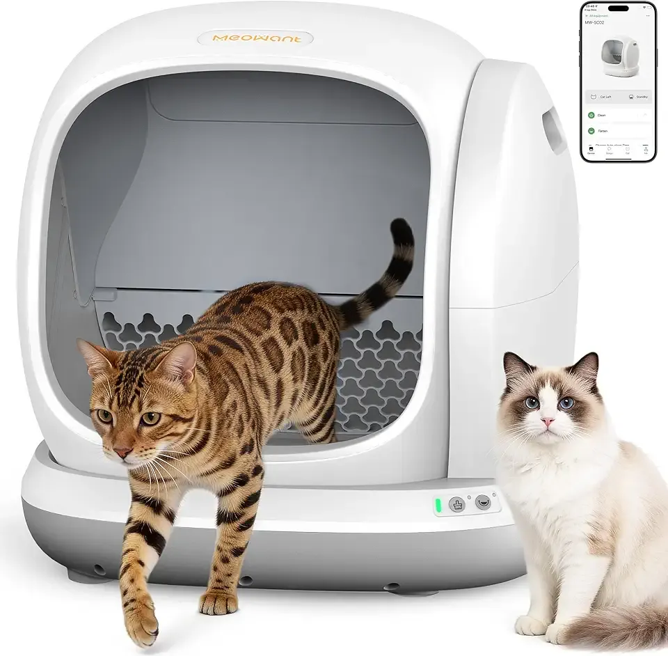 Meowant Self Cleaning Cat Litter Box - Open-Top Automatic Litter Box with APP, 0 Risk of Stuck Cats, Safer Automatic Litter Boxs, Low Entrance for Multiple Cats