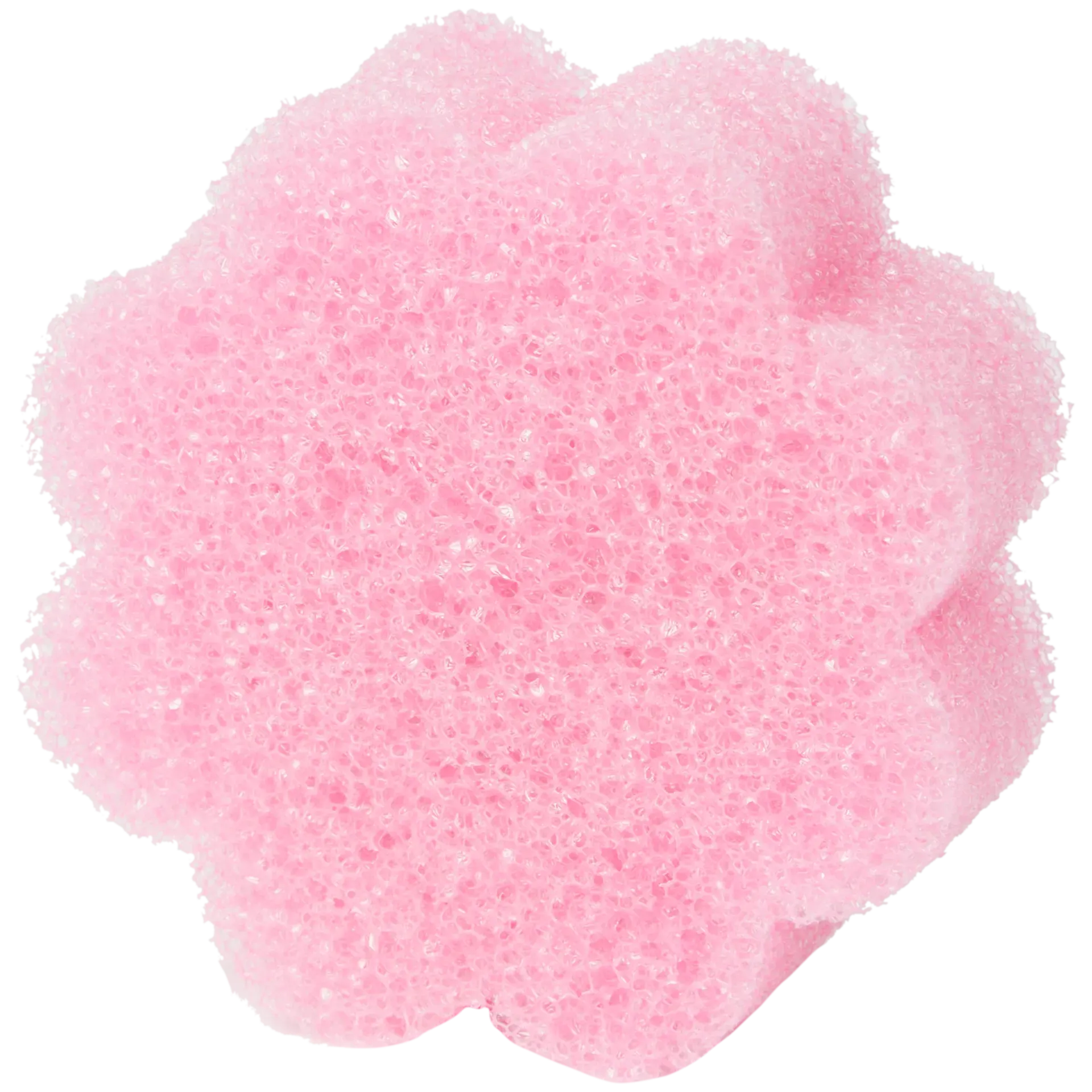 Spugna CleanRite Super Scrubby
